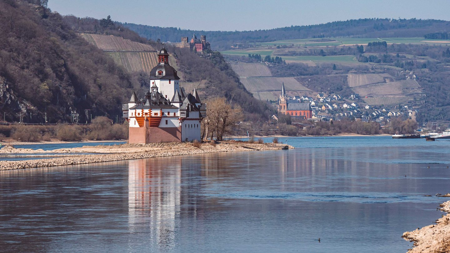 Burg Pfalzgrafenstein