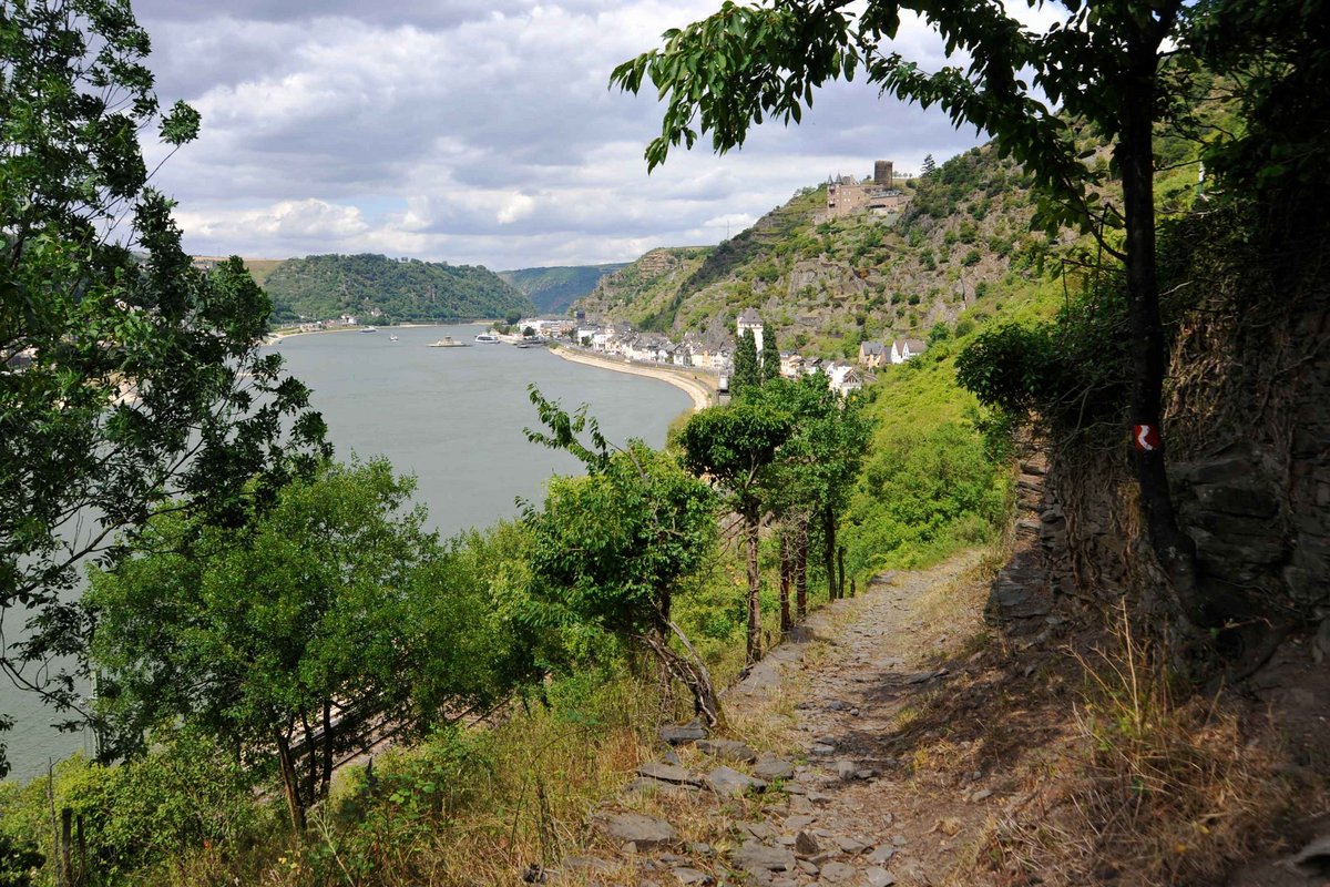 Wandern in der Loreley-Region auf dem Rheinsteig