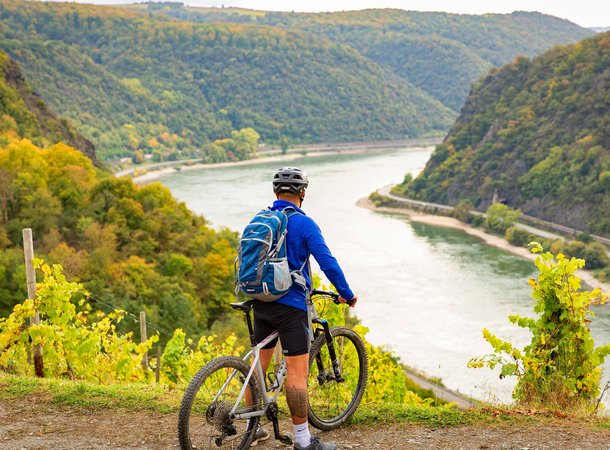 Radrundtouren am Rhein