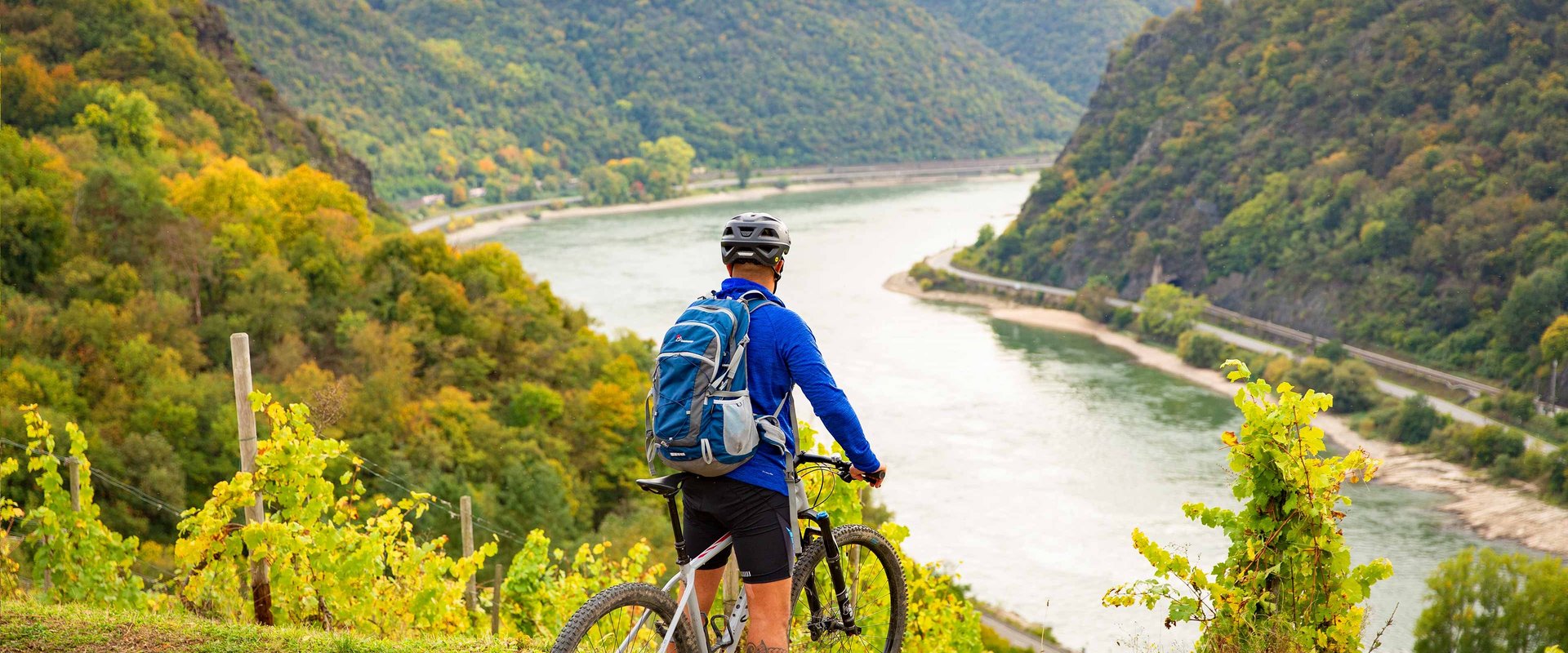 Radrundtouren am Rhein