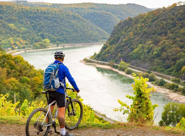 Radrundtouren am Rhein
