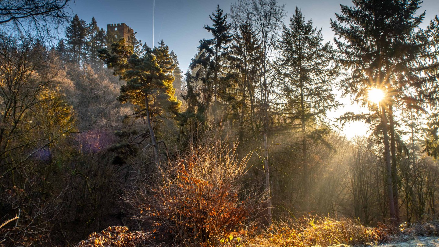 Sauertal