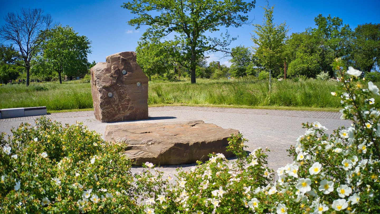 Bild des Hörfelsens auf dem Loreleyplateau