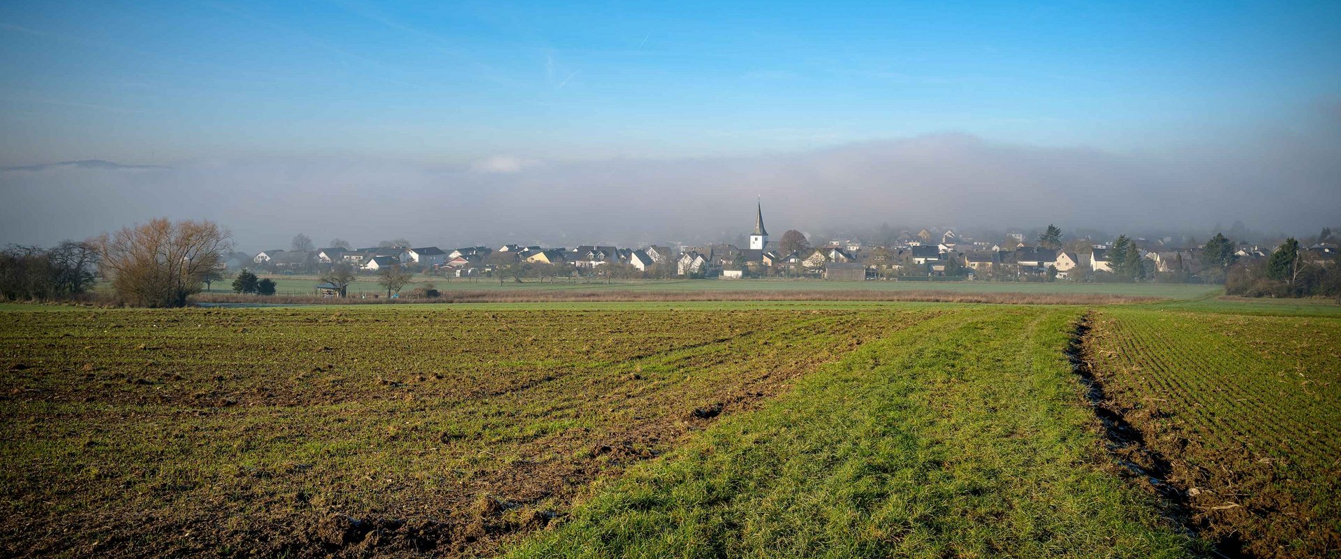 Der Ort Bornich im Nebel