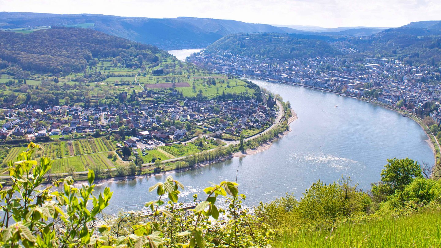 Rheinschleife bei Filsen