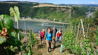 Wandern in der Loreley-Region