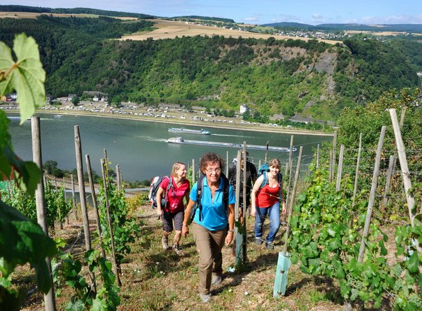 Wandern in der Loreley-Region