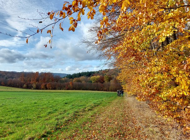 Wanderer am herbstlichen Waldrand