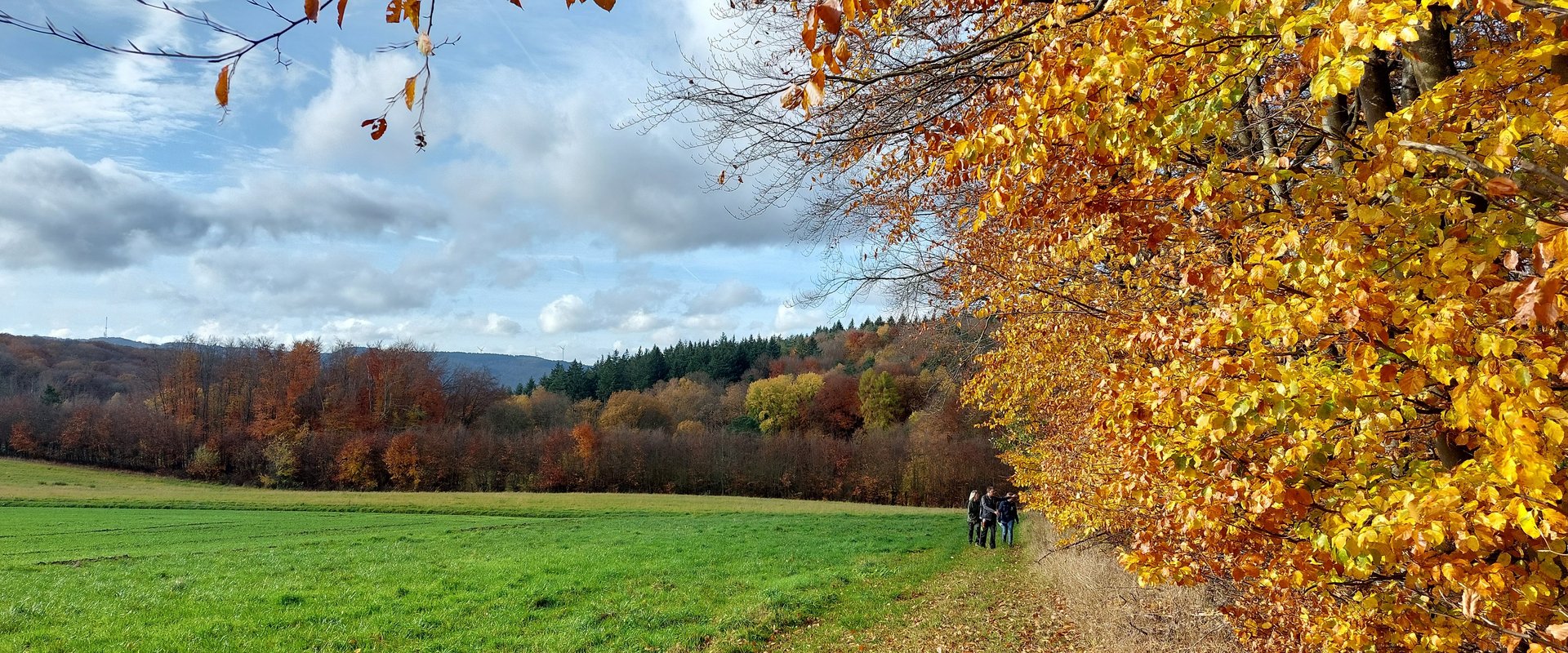 Wanderer am herbstlichen Waldrand