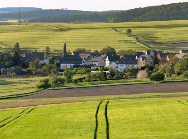 Ortsgemeinde Reitzenhain