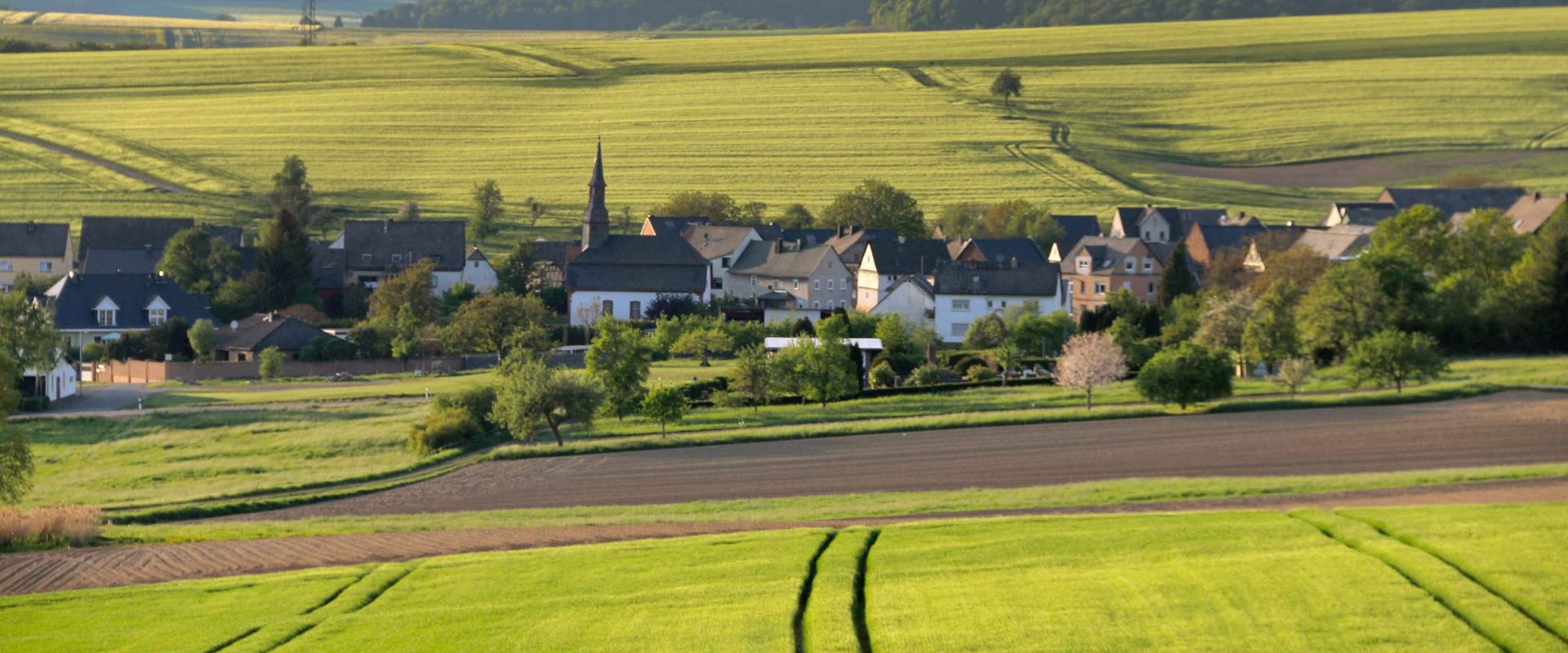Ortsgemeinde Reitzenhain