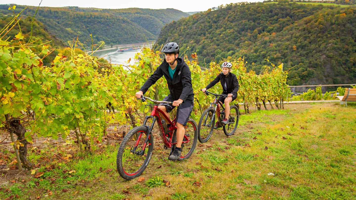 Mountainbikfahrer im Weinfeld